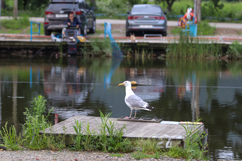 IMG_5558.jpg