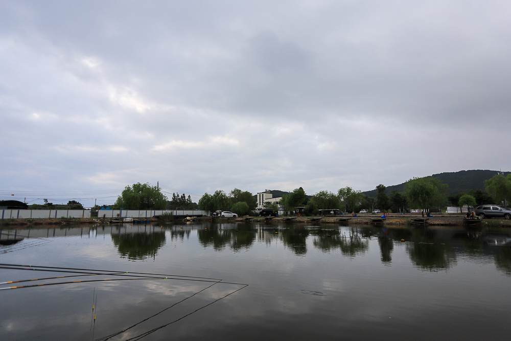 IMG_6739.jpg