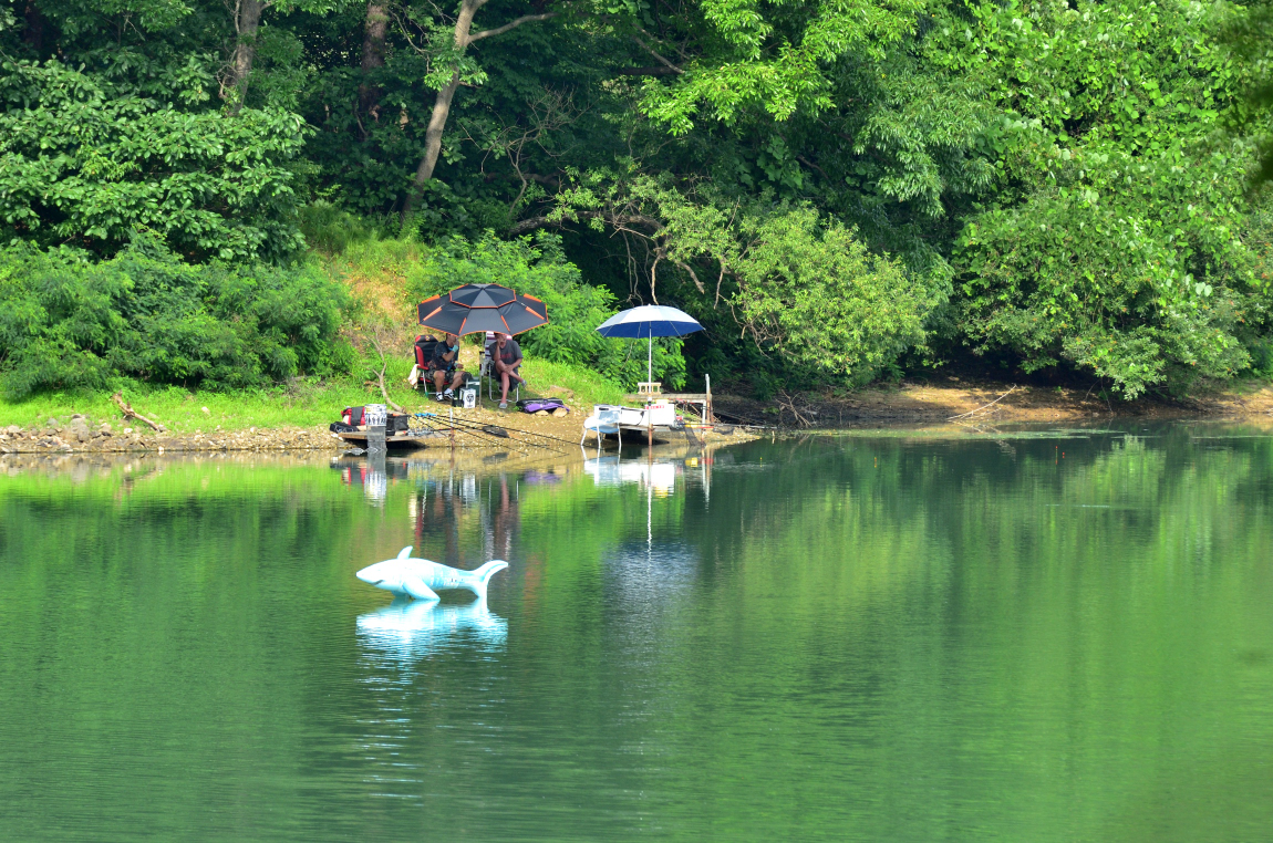 DSC_6245.JPG