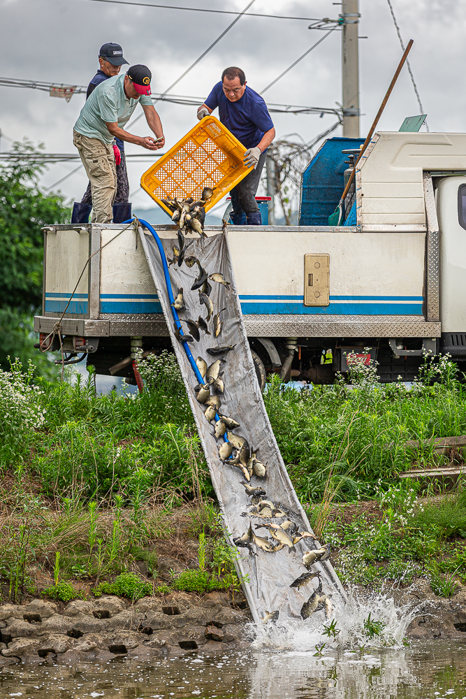 層-17.jpg