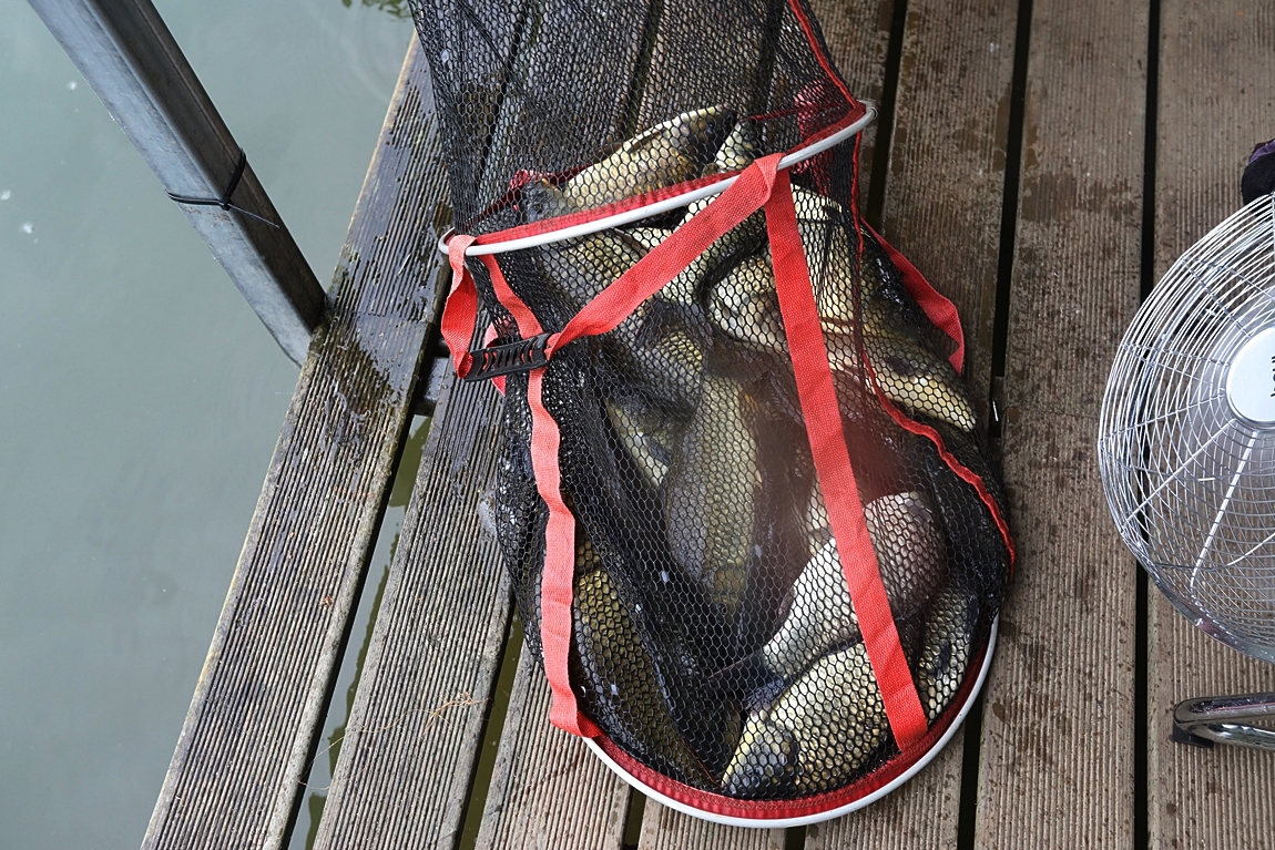 134.JPG