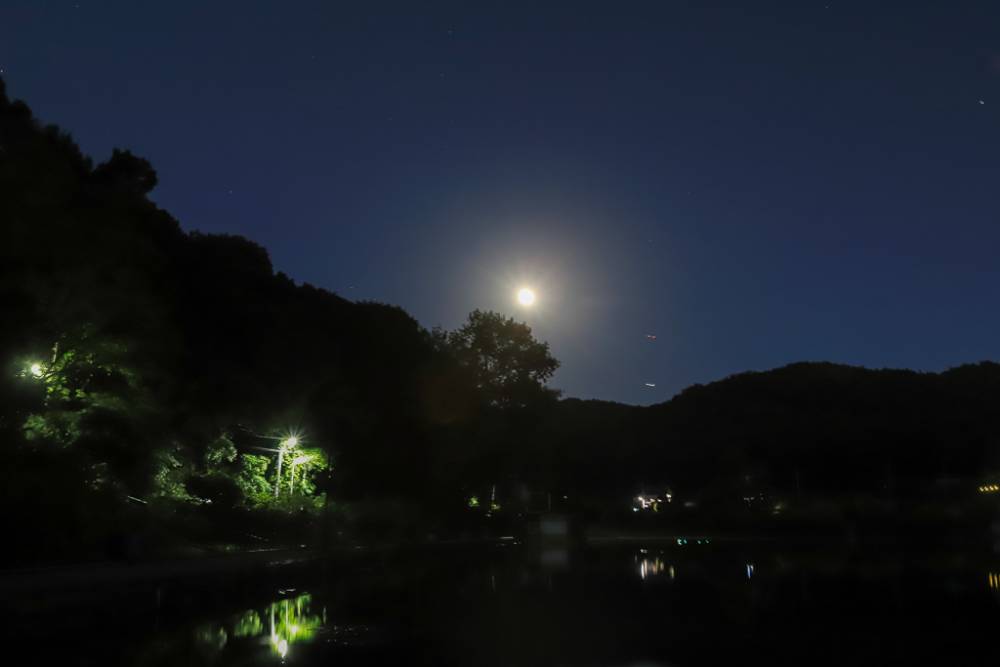 IMG_7818.jpg
