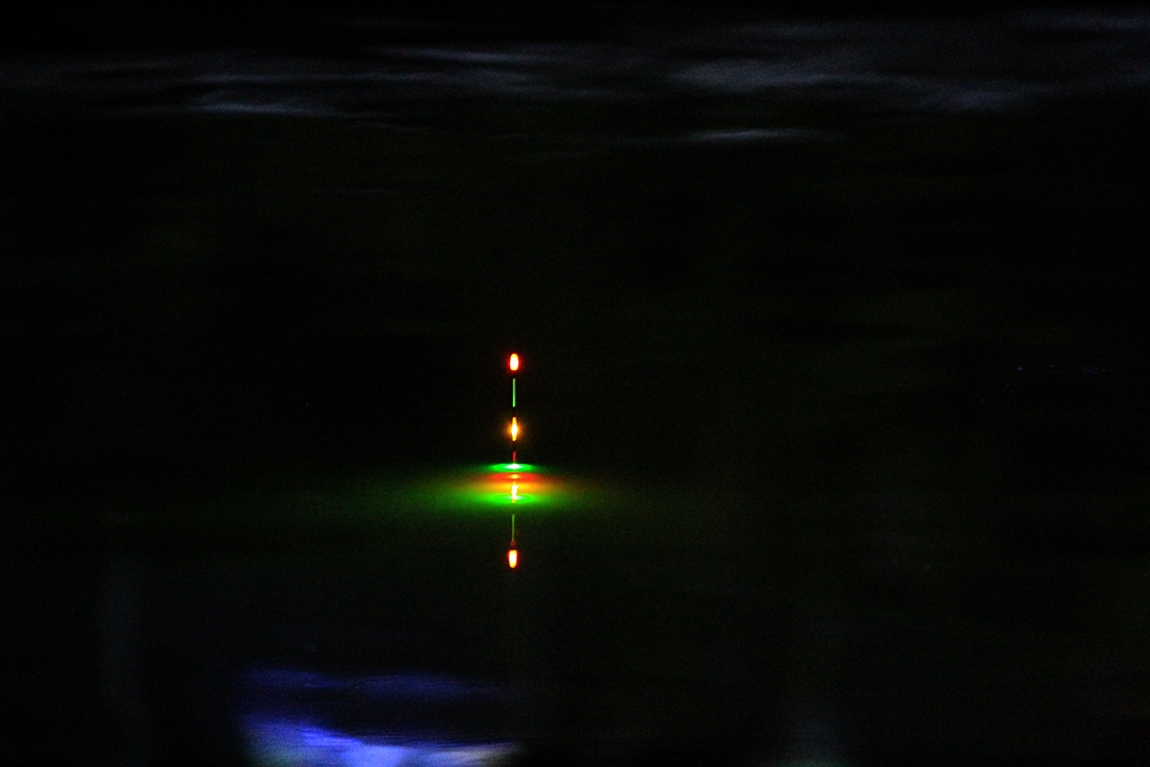 033.JPG
