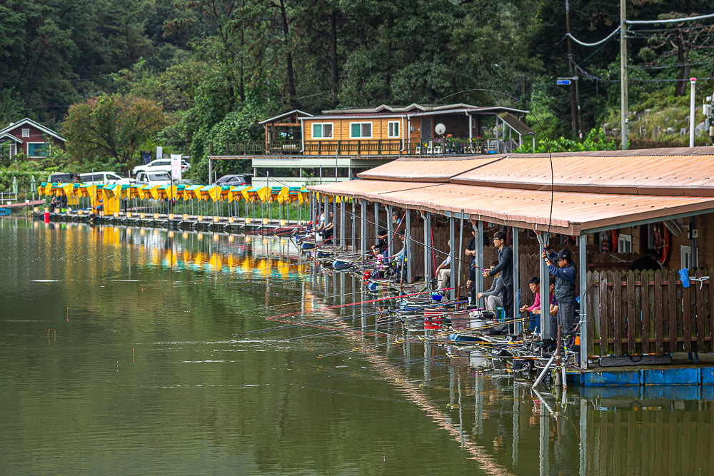 層-5.jpg