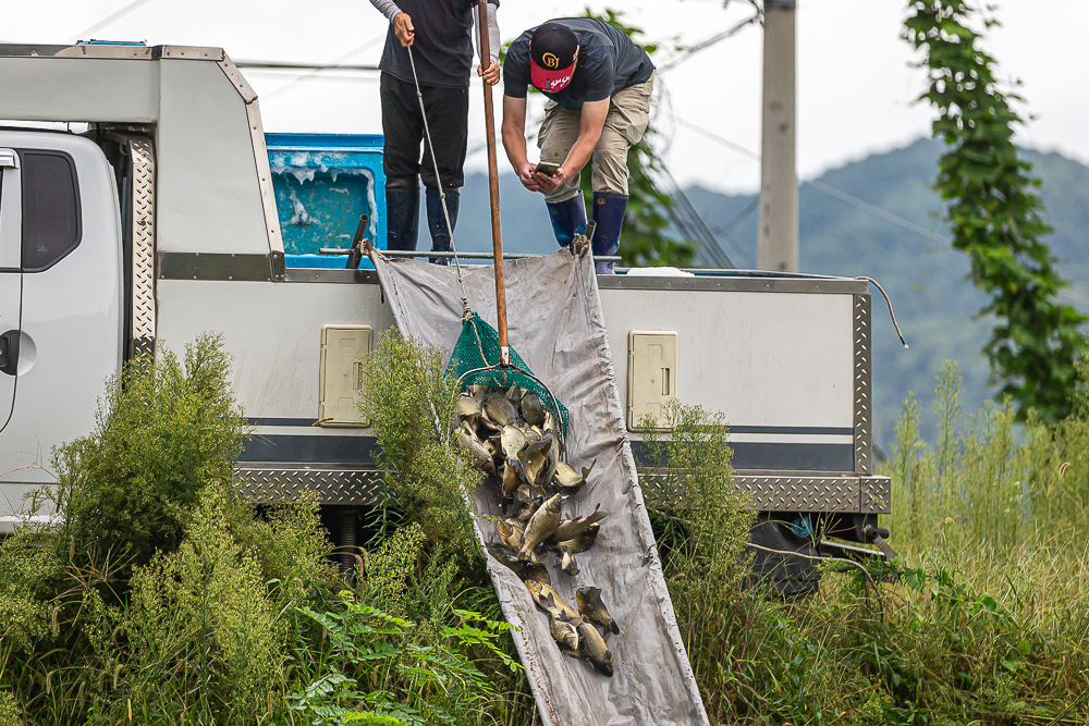 層-20.jpg