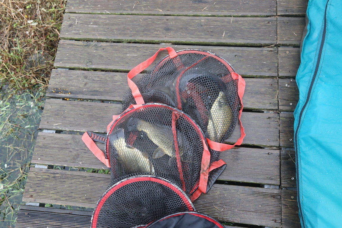 126.JPG