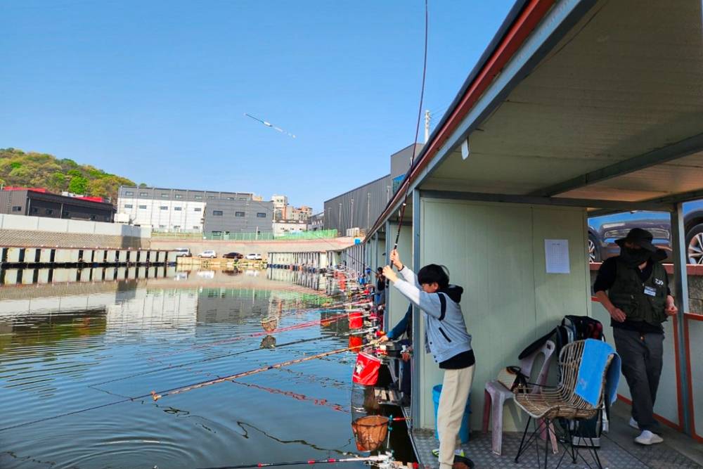 Screenshot_20260420_063040_Naver Cafe.jpg