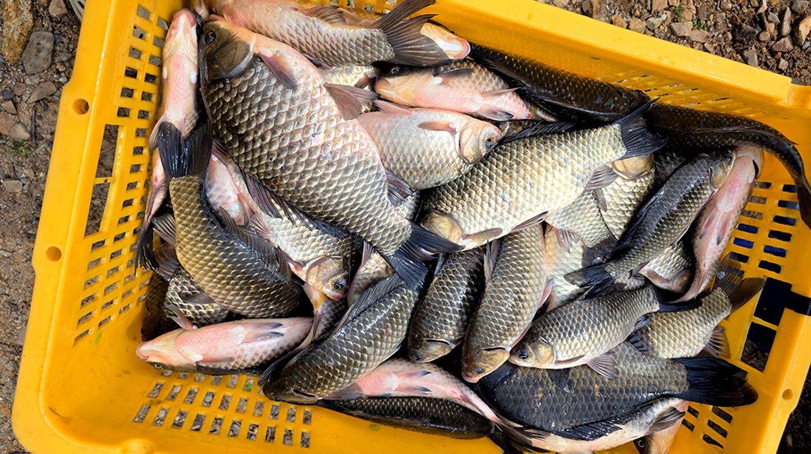 20260423100129_atow (2).JPG