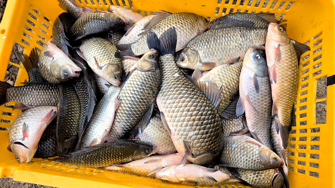 20260423100129_atow (3).JPG