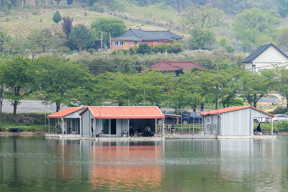 IMG_8315.jpg