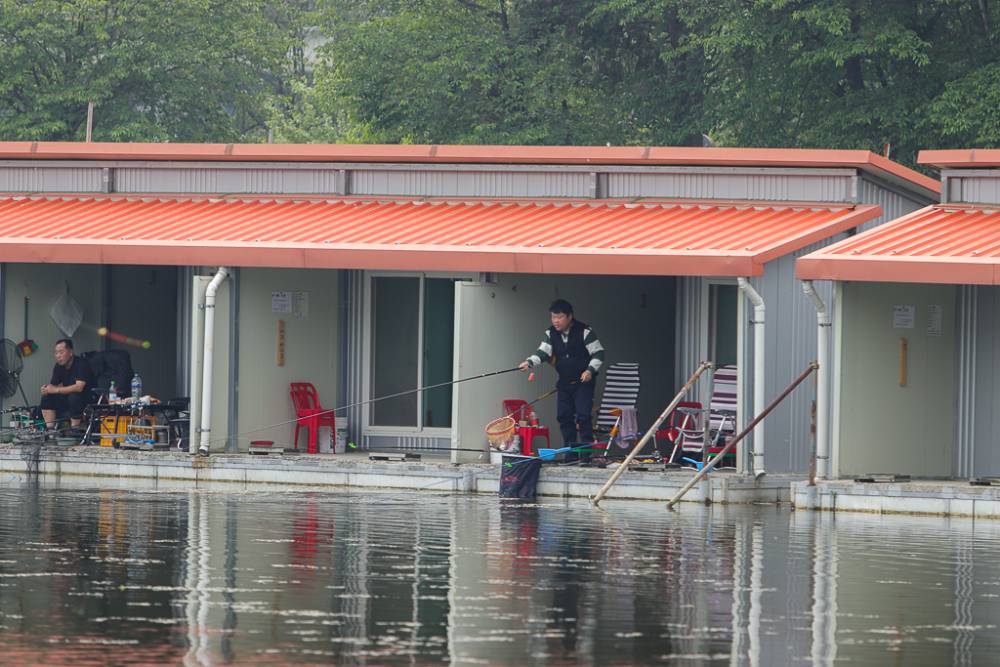 IMG_8346.jpg