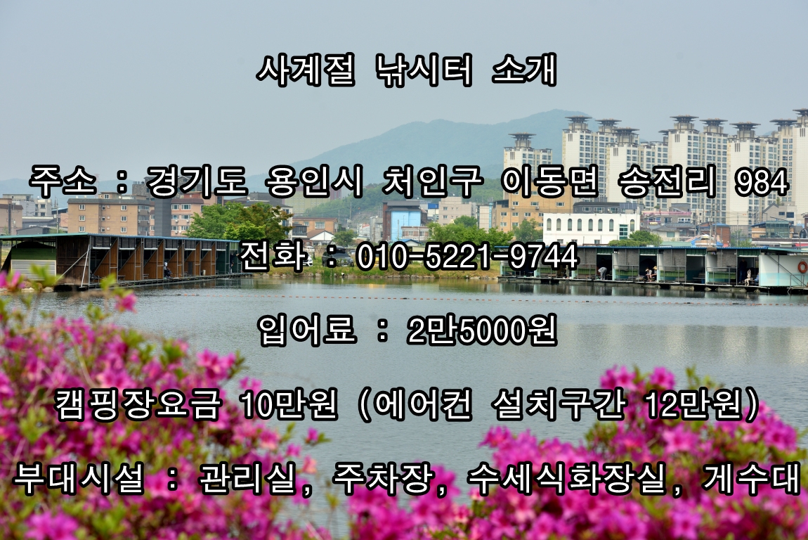 1234.JPG