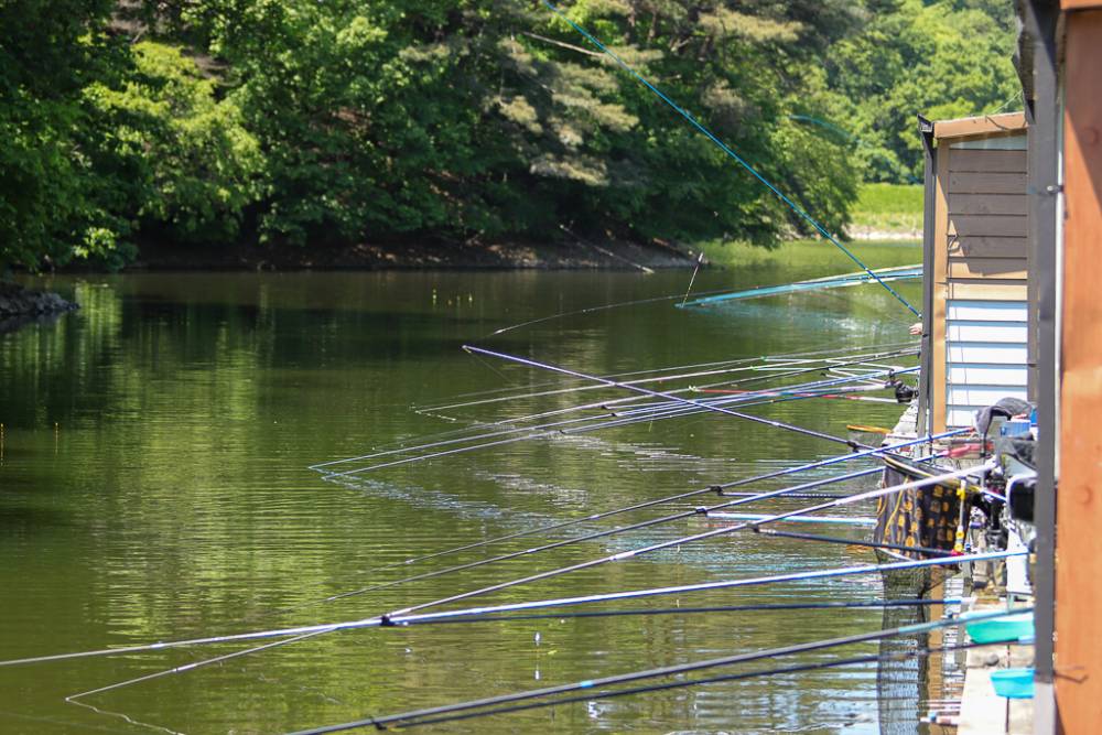 IMG_8370.jpg