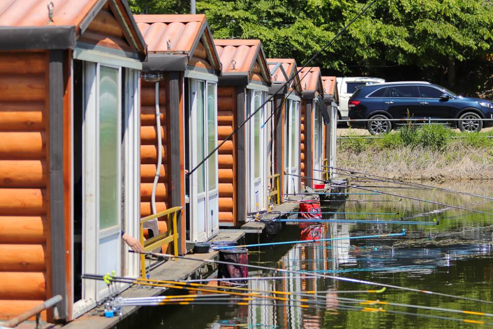 IMG_8362.jpg