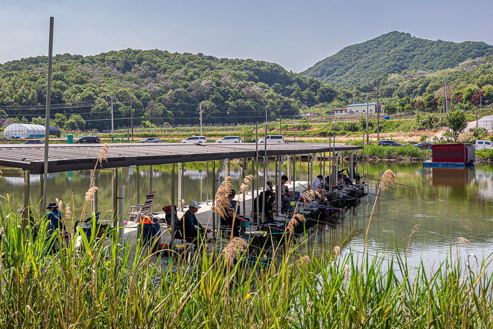 ��븮-12.jpg