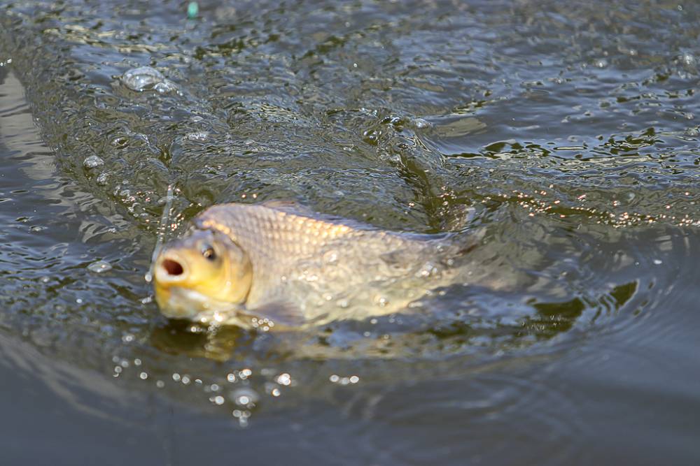 IMG_8492.jpg