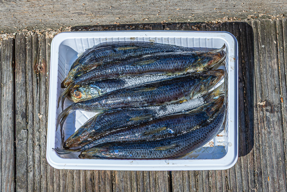 ����-30.jpg