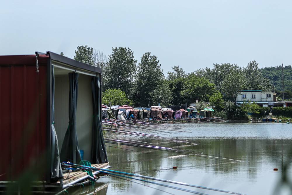 IMG_8666.jpg