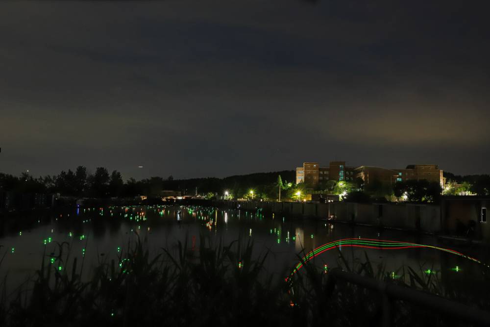 IMG_1153.jpg