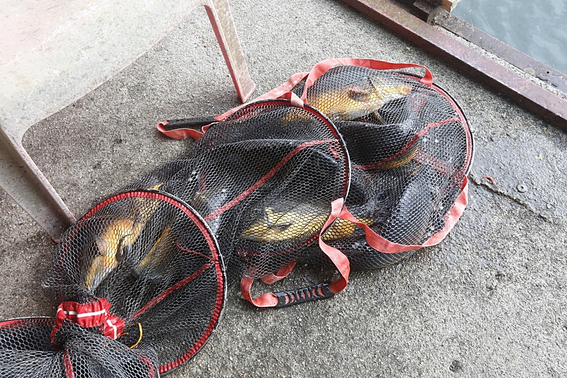 149.JPG