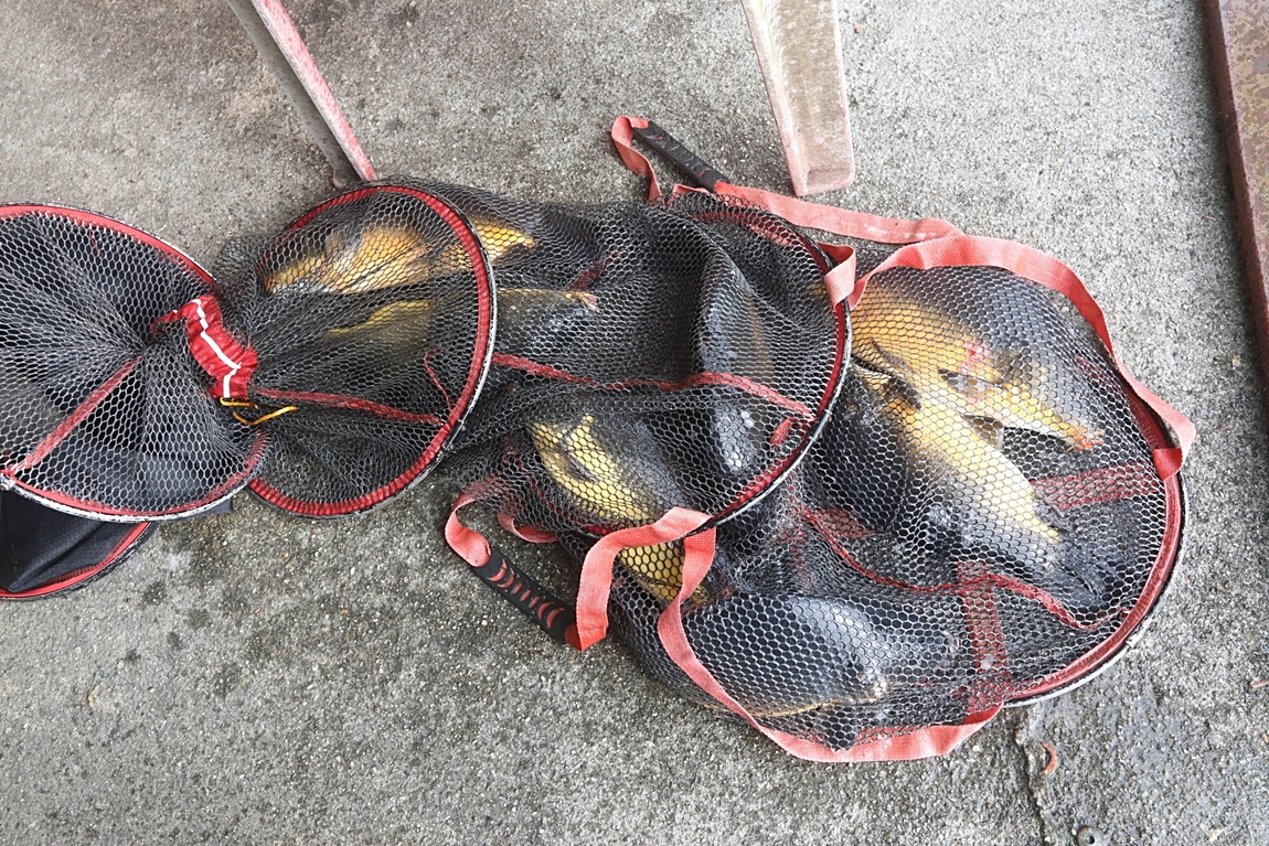 150.JPG