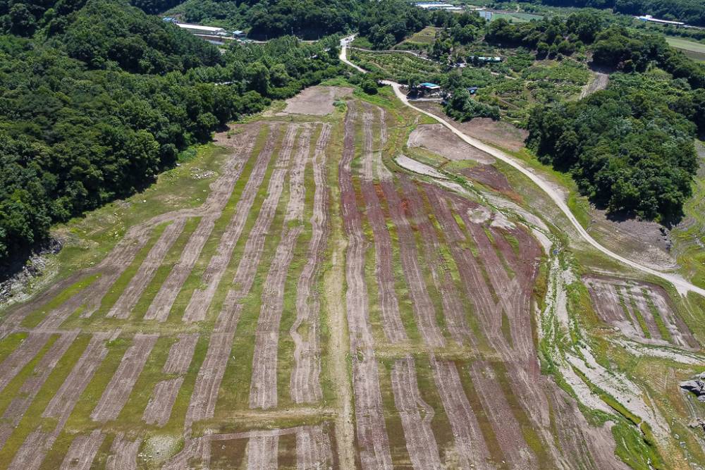 DJI_0658.jpg