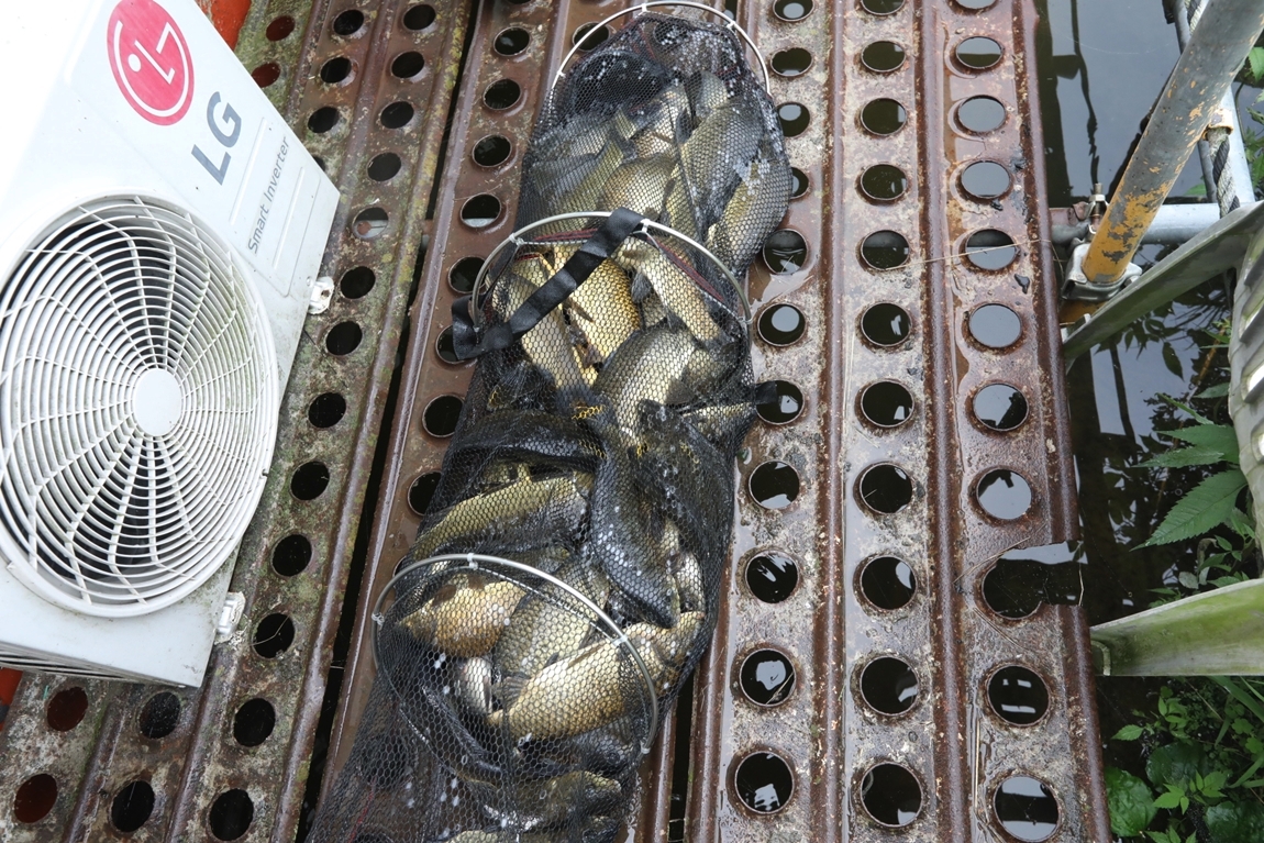 178.JPG