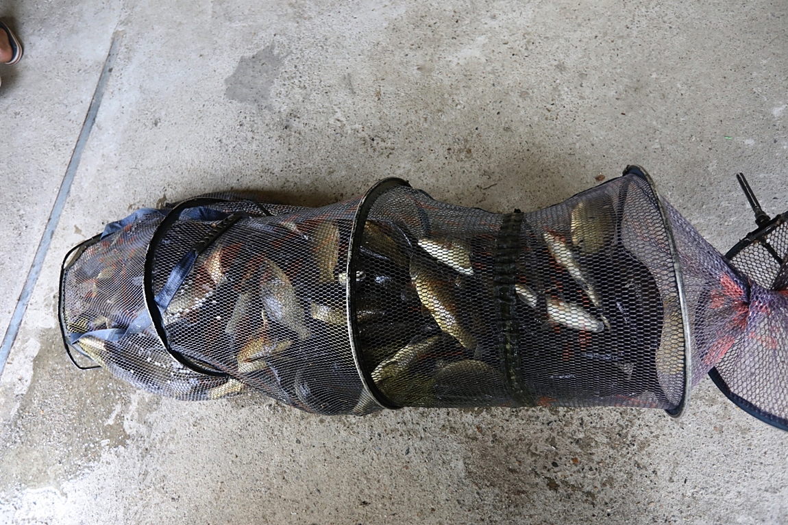 171.JPG