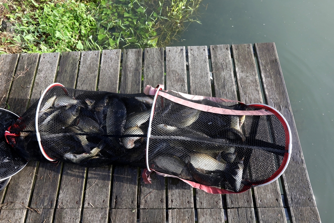 280.JPG