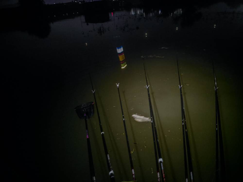 20260721_220311.jpg