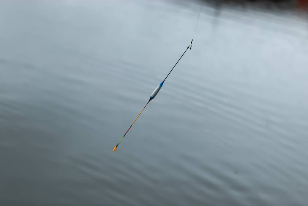 IMG_8920.jpg