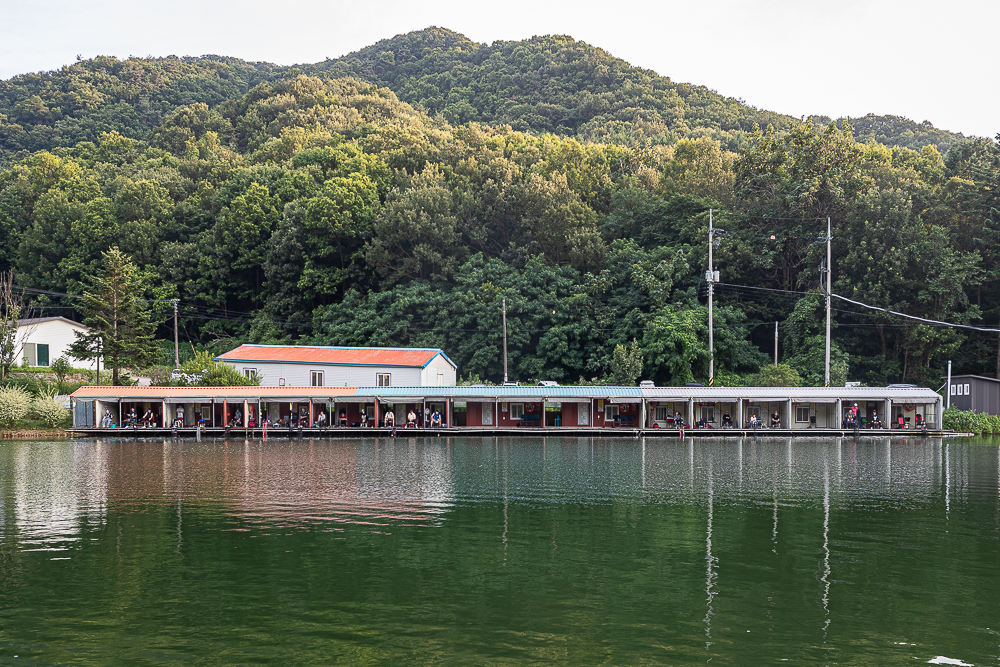 ���ָ�-1.jpg