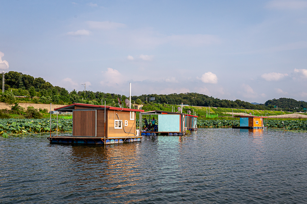 ����-8.jpg