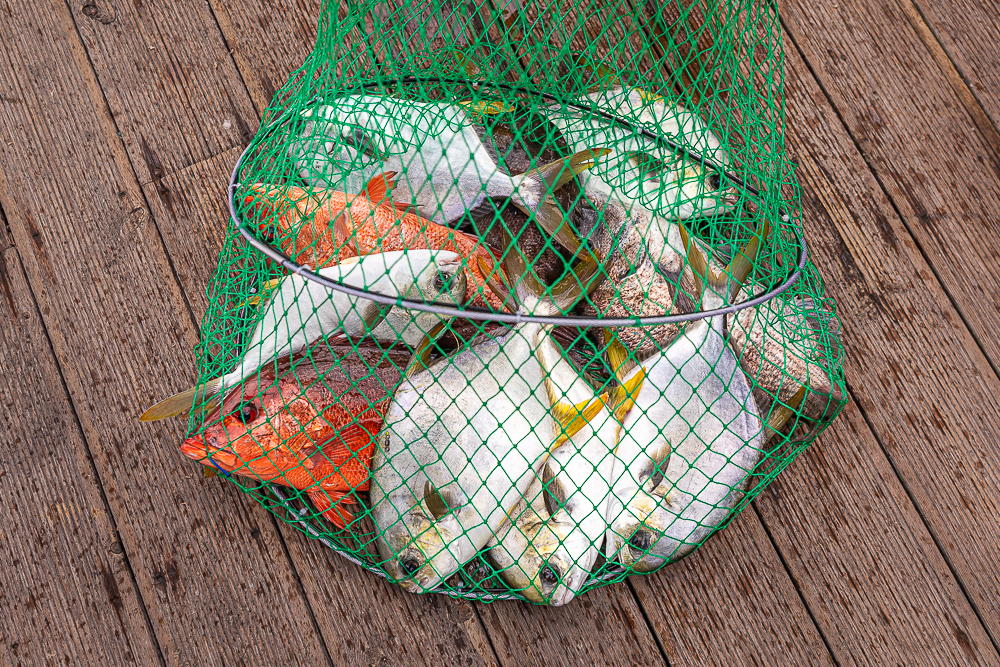 õ��-43.jpg