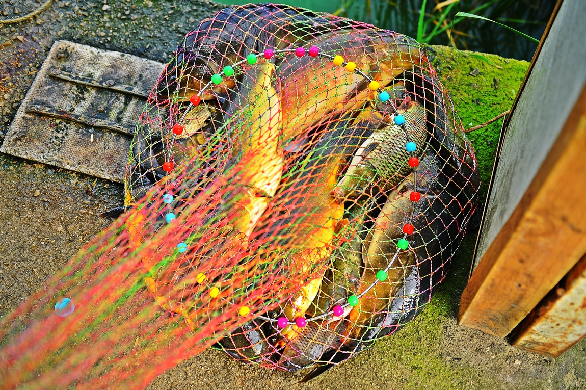 4.JPG