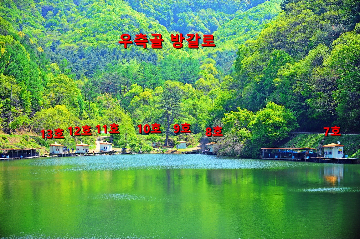 20250520061056_qkkg.jpg