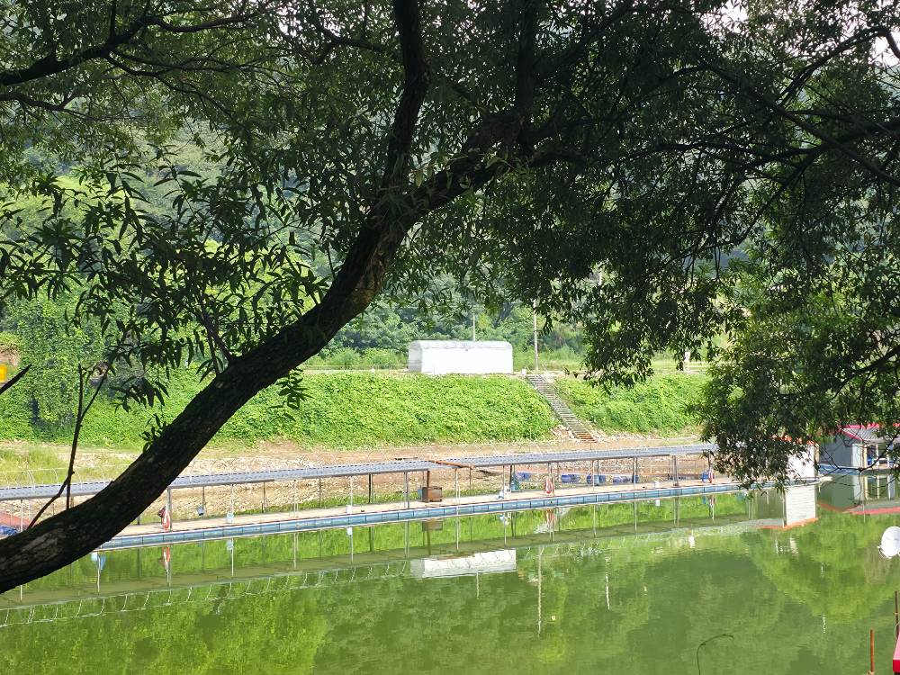KakaoTalk_20260820_144835730_10.jpg