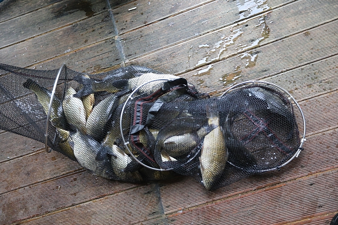 143.JPG