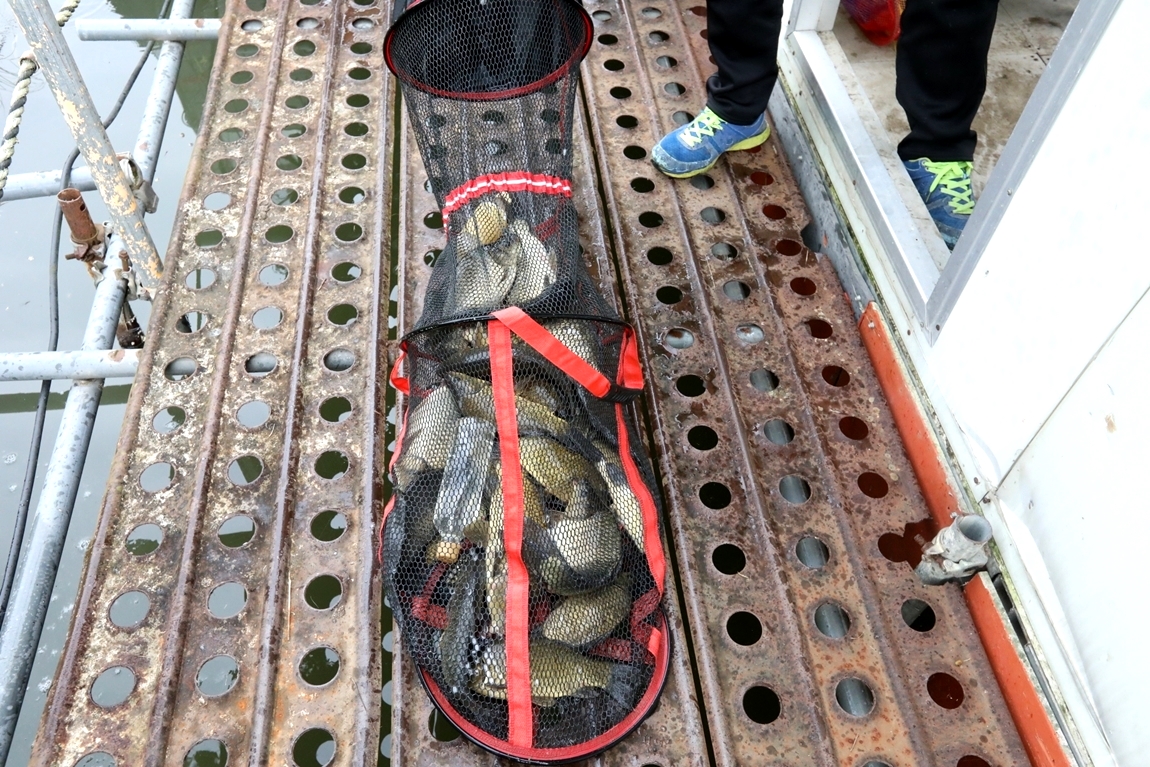 179.JPG