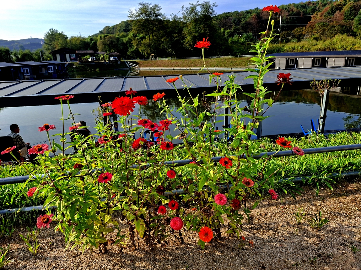 20260927_083753.jpg