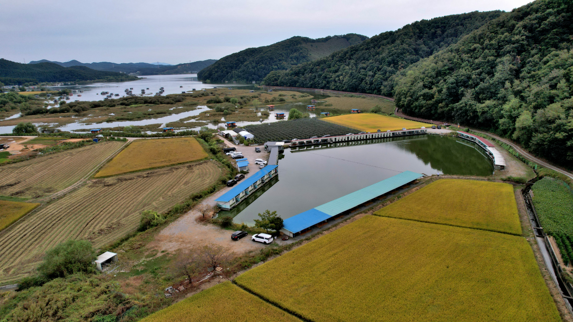 1.JPG