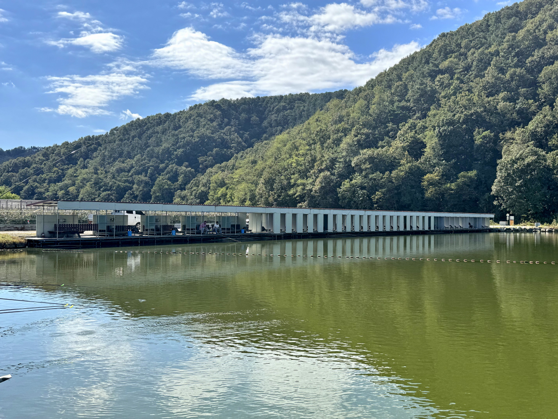 56.JPG