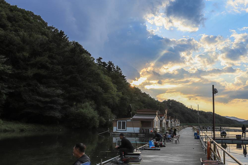 IMG_1917.jpg