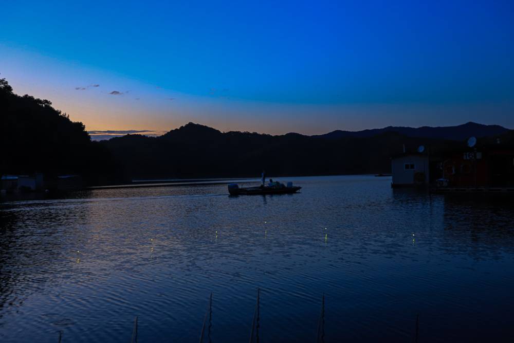 IMG_2109.jpg