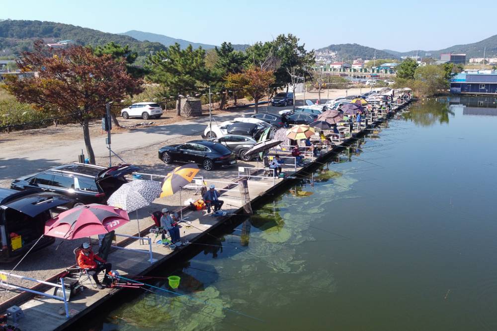 DJI_0712.jpg