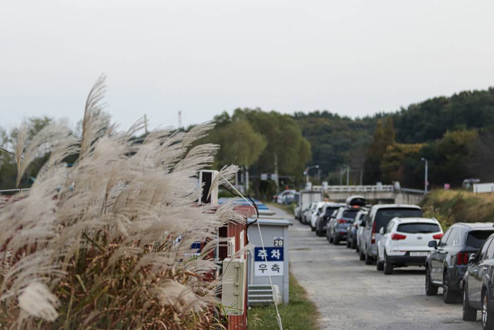 IMG_9297.jpg