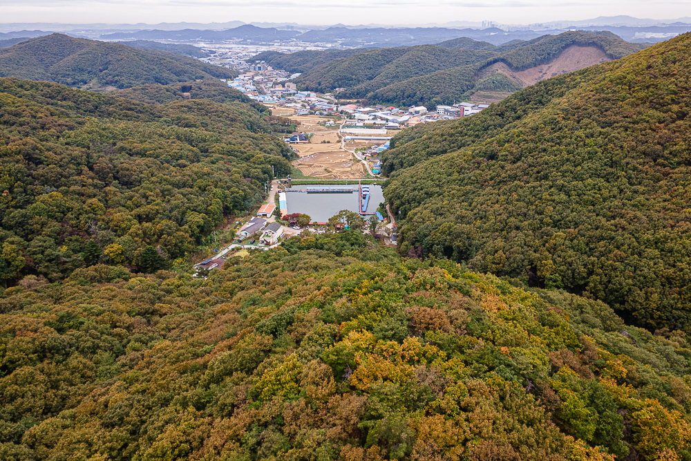 ���ָ�-1.jpg