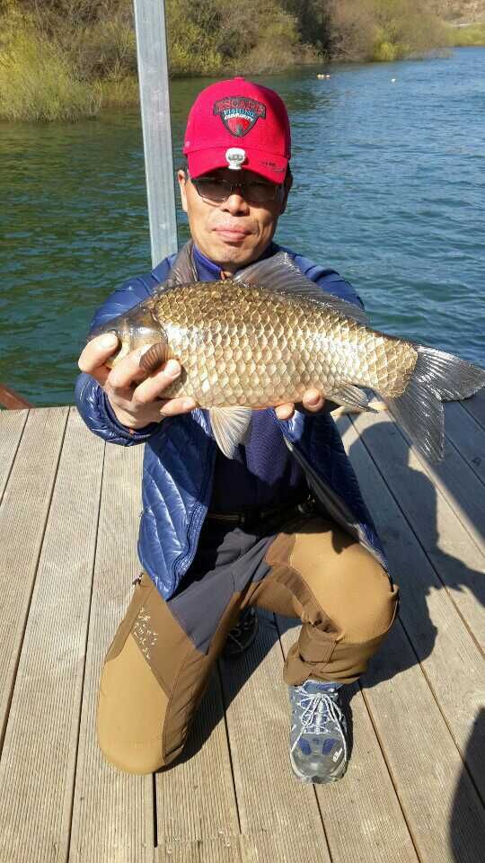 20140405  1ȣ42.5.jpg