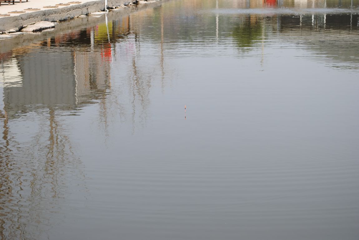 DSC_0128.JPG