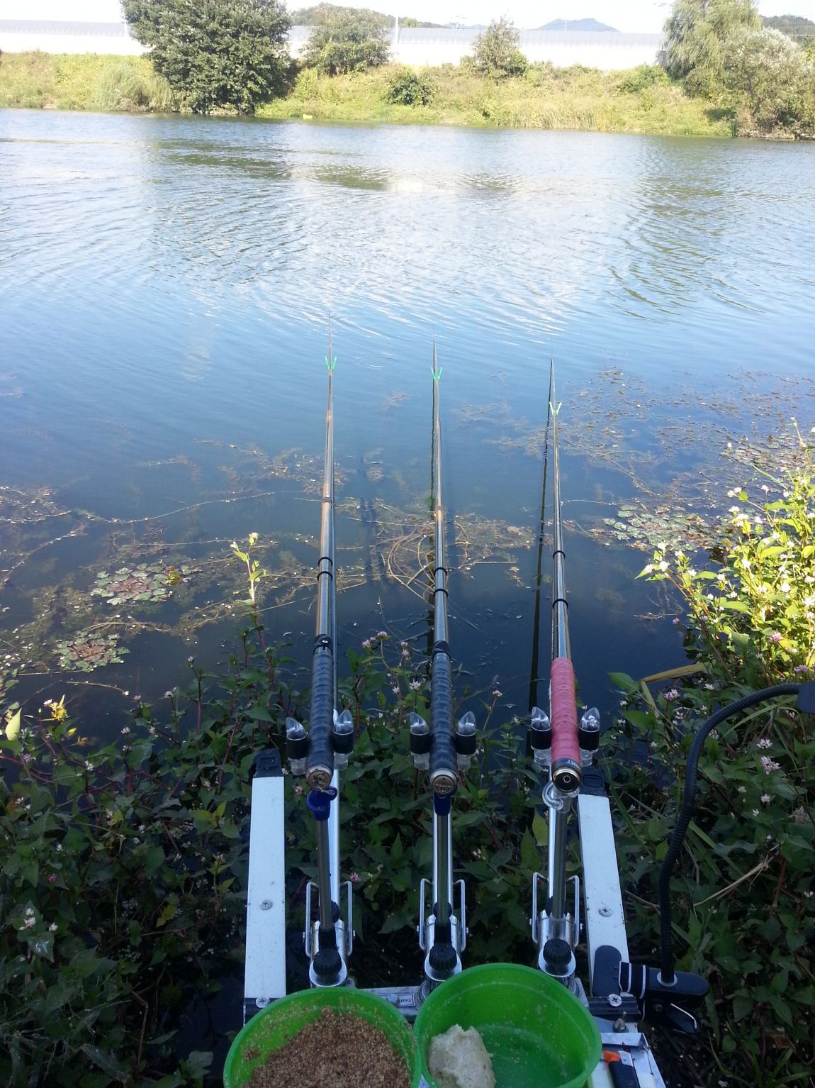 20140920_152243.jpg